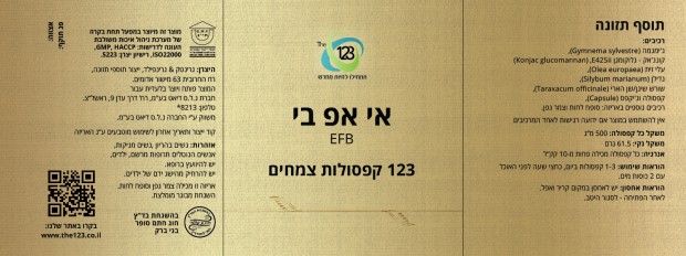 EFB